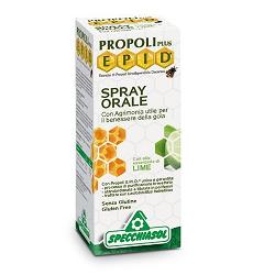 EPID SPRAY LIME 15 ML - goldeneffe.it