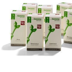 VITE VINIFERA MACERATO GLICERICO 50 ML - goldeneffe.it