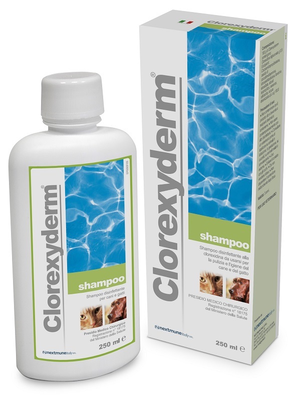 CLOREXYDERM SHAMPOO 250 ML - goldeneffe.it