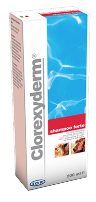 CLOREXYDERM SHAMPOO FORTE 200 ML - goldeneffe.it
