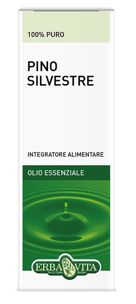 PINO SILVESTRE OLIO ESSENZIALE 10 ML - goldeneffe.it
