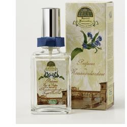 SPEZIALI PROFUMO NONTISCORDARDIME 50 ML - goldeneffe.it