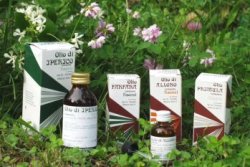 RAEMIL ROSMARINO OLIO 25 ML - goldeneffe.it