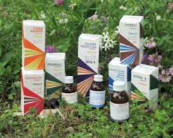 RAEMIL PROPOLI COMPOSTO 15 ML - goldeneffe.it