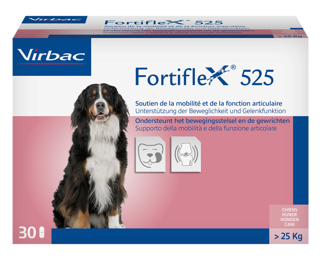 FORTIFLEX 525 MG 30 COMPRESSE APPETIBILI - goldeneffe.it