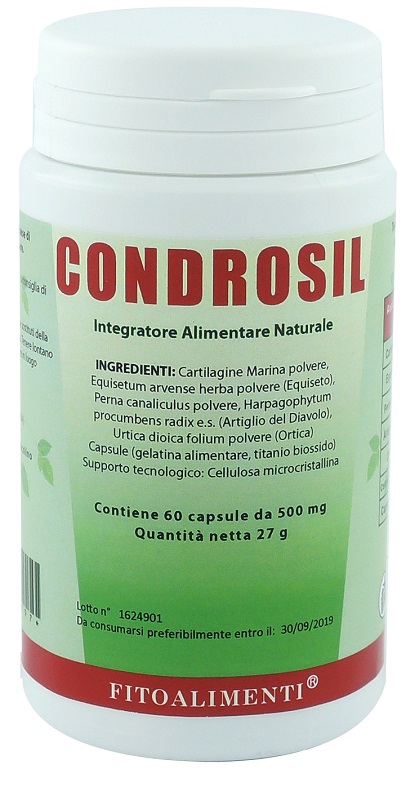 CONDROSIL 60 CAPSULE - goldeneffe.it