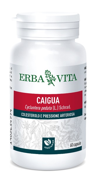 CAIGUA 60 CAPSULE 400 MG - goldeneffe.it