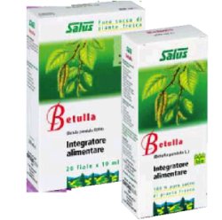 BETULLA SUCCO 200ML BIO - goldeneffe.it