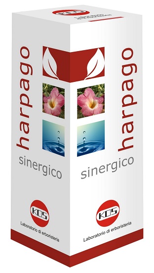 HARPAGO SINERGICO GOCCE 100 ML - goldeneffe.it
