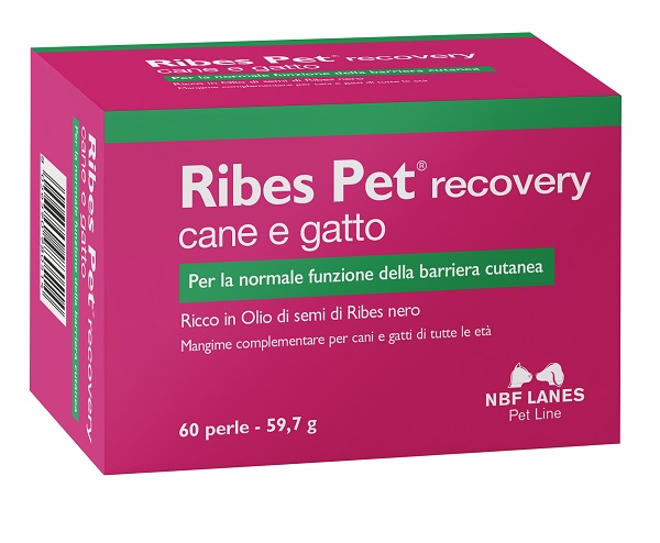RIBES PET RECOVERY BLISTER 60 PERLE - goldeneffe.it