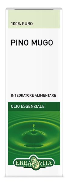 PINO MUGO OLIO ESSENZIALE 10 ML - goldeneffe.it