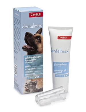 DENTALMAX GEL STOMATOLOGICO 50 ML - goldeneffe.it