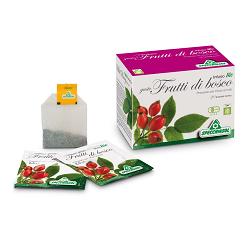 INFUSO BIO FRUTTA FRUTTI DI BOSCO 20 FILTRI - goldeneffe.it