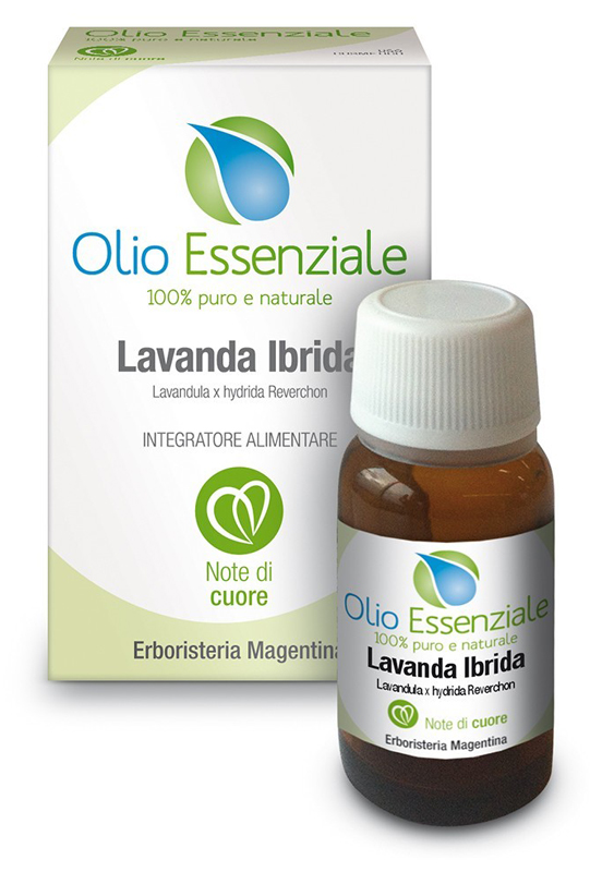 LAVANDA IBRIDA OLIO ESSENZIALE 10 ML - goldeneffe.it