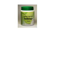 SOLIDAGO 60 CAPSULE - goldeneffe.it