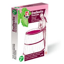 ENOLIEVITO CERVISIAE 100 G - goldeneffe.it