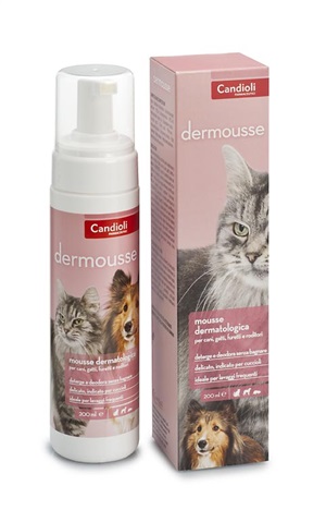 DERMOUSSE MOUSSE FLACONE 200 ML - goldeneffe.it