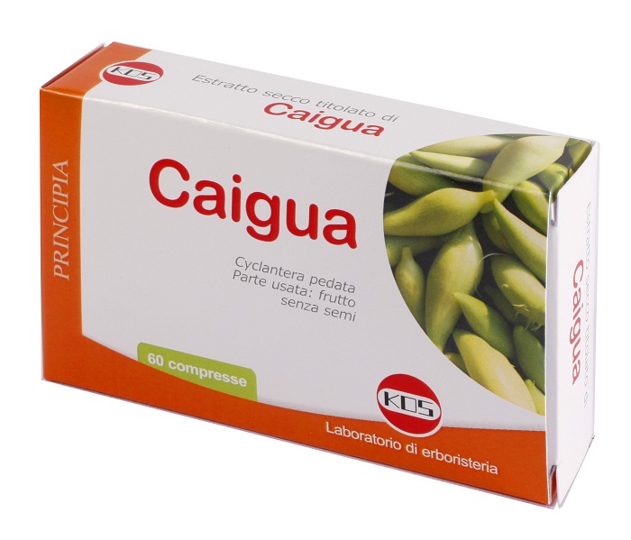 CAIGUA ESTRATTO SECCO 60 COMPRESSE - goldeneffe.it