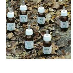 KA PLANTA OLIO MASSAGGIO 30 ML - goldeneffe.it