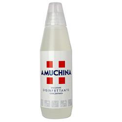 DISINFETTANTE IGIENIZZANTE A BASE DI IPOCLORITO DI SODIO ANTIMICROBICO AD AMPIO SPETTRO D'AZIONE AMUCHINA LIQUIDA 100% 1000 ML - goldeneffe.it