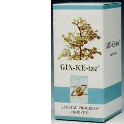 GINKETZE BIO 80 TAVOLETTE 600 MG - goldeneffe.it