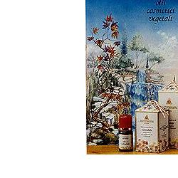 CALENDULA OLIO 100ML - goldeneffe.it