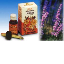 LAVANDA OLIO ESSENZIALE PURO 10 ML - goldeneffe.it