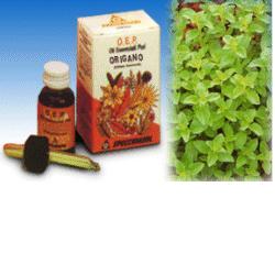ORIGANO OLIO ESSENZIALE PURO 10 ML - goldeneffe.it