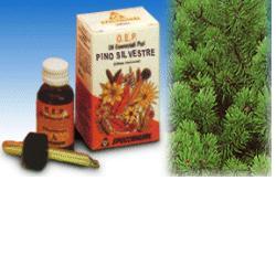 PINO SILVESTRE OLIO ESSENZIALE PURO 10 ML - goldeneffe.it