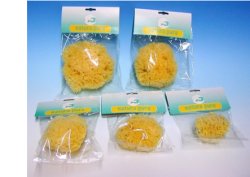 NATURA PURA SPUGNA NATURALE 10 BUSTE - goldeneffe.it