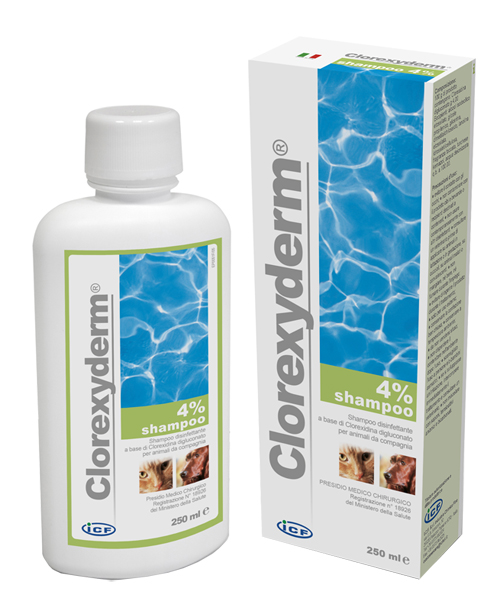 CLOREXYDERM SHAMPOO 4% 250 ML - goldeneffe.it