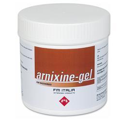 ARNIXINE GEL 750 ML - goldeneffe.it