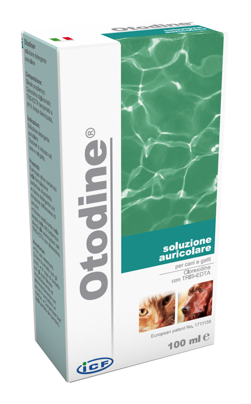 OTODINE DETERGENTE LIQUIDO 50 ML - goldeneffe.it