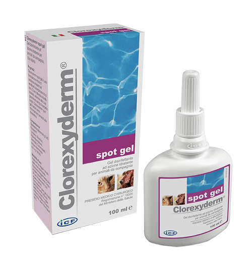 CLOREXYDERM SPOT GEL 100 ML - goldeneffe.it