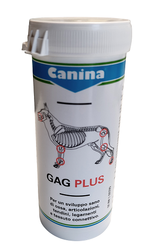 GAG PLUS 200 G 120 TAVOLETTE - goldeneffe.it