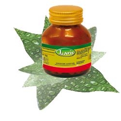 ARANCIO AMARO 60 OPERCOLI - goldeneffe.it