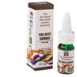 PINO MUGO SIBERIANO OLIO ESSENZIALE NATURALE 10 ML - goldeneffe.it
