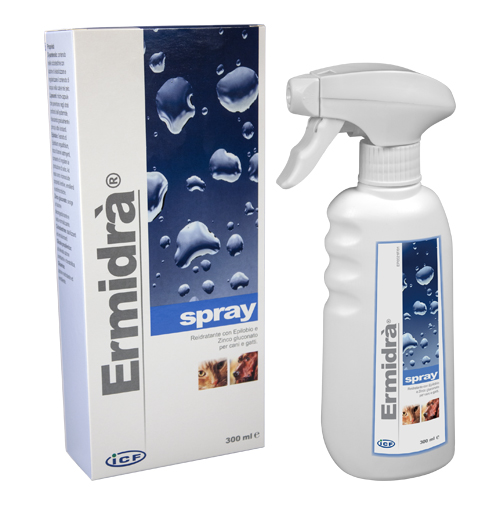 ERMIDRA' SPRAY 300 ML - goldeneffe.it