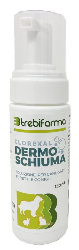 CLOREXAL DERMOSCHIUMA 150 ML - goldeneffe.it
