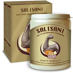 SALISANI VITAMINSPORT 360 G POLVERE - goldeneffe.it