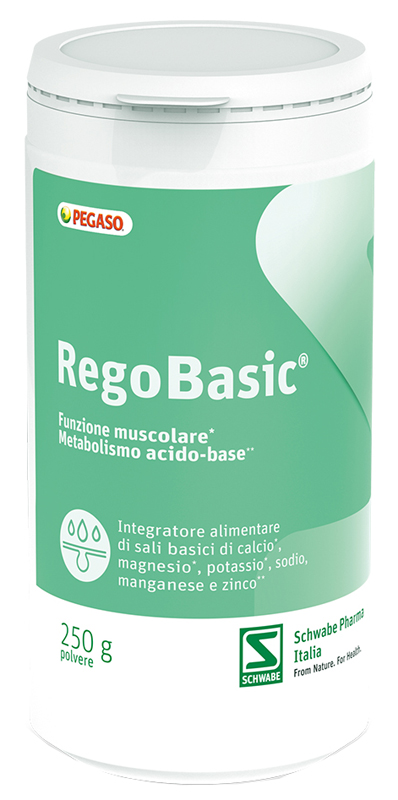 REGOBASIC POLVERE 250 G - goldeneffe.it
