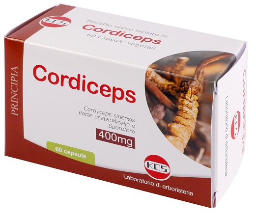 CORDICEPS ESTRATTO SECCO 60 CAPSULE - goldeneffe.it