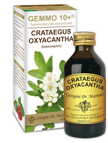 GEMMO 10+ BIANCOSPINO LIQUIDO ANALCOLICO 100 ML - goldeneffe.it