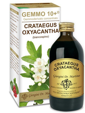 GEMMO 10+ BIANCOSPINO LIQUIDO ANALCOLICO 200 ML - goldeneffe.it