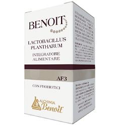 BENOIT LACTOBACILLUS PLANTHARUM 30 CAPSULE - goldeneffe.it