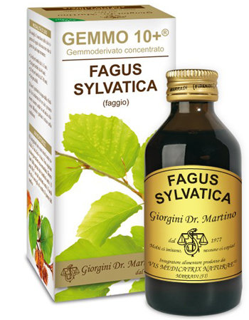 GEMMO 10+ FAGGIO 100 ML LIQUIDO ANALCOLICO - goldeneffe.it