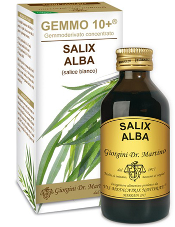 GEMMO 10+ SALICE BIANCO 100 ML LIQUIDO ANALCOLICO - goldeneffe.it
