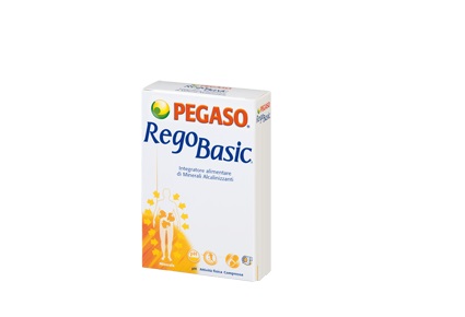 REGOBASIC 12 BUSTINE POLVERE - goldeneffe.it