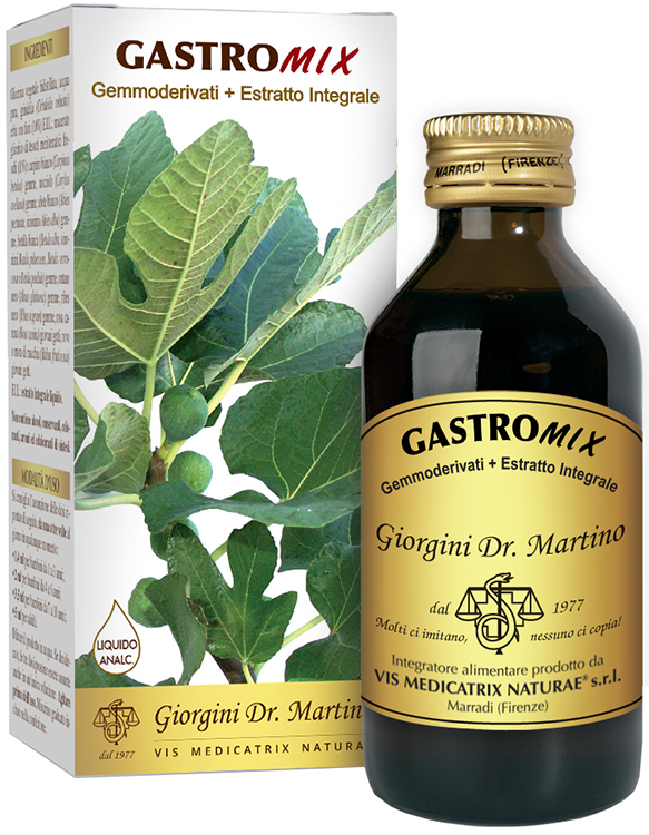 GASTROMIX LIQUIDO ANALCOLICO 100 ML - goldeneffe.it