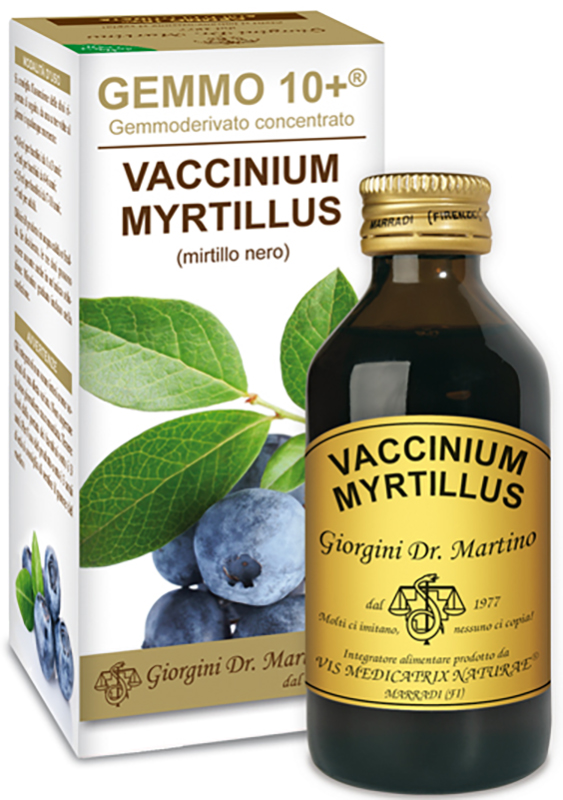 GEMMO 10+ GEMMODERIVATO CONCENTRATO VACCINIUM MYRTILLUS MIRTILLO NERO SENZA ALCOOL 100 ML - goldeneffe.it